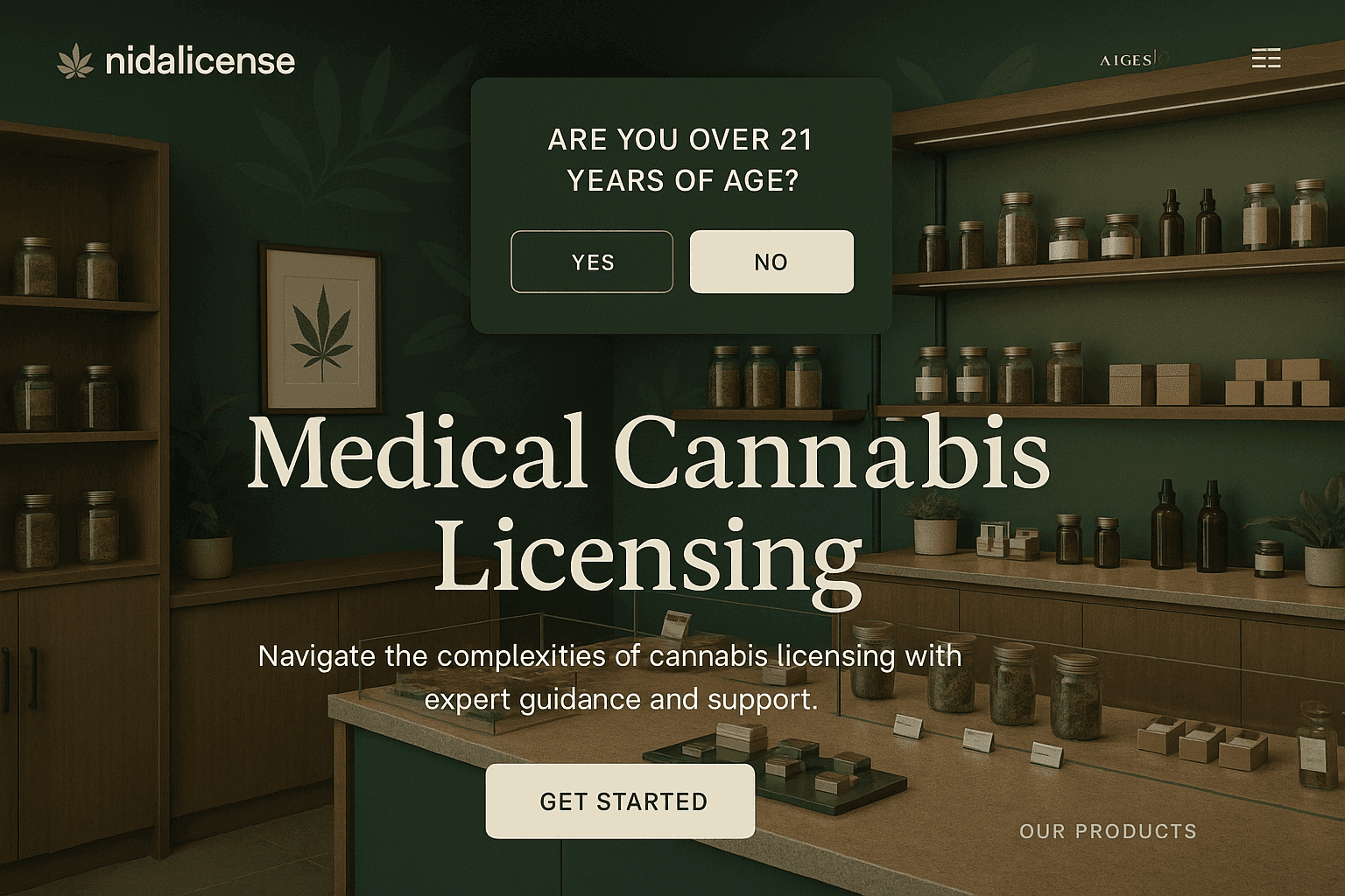 nidalicense.com website mockup